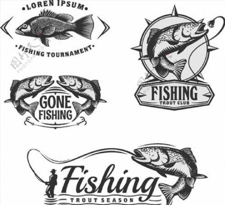 钓鱼俱乐部标志图片