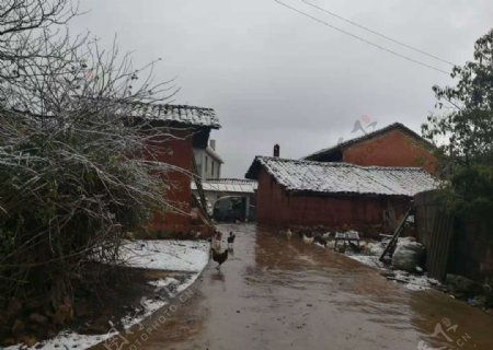 冬季里的村庄图片