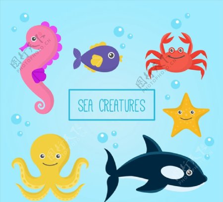 海洋动物矢量图片