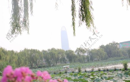 大明湖风景图片