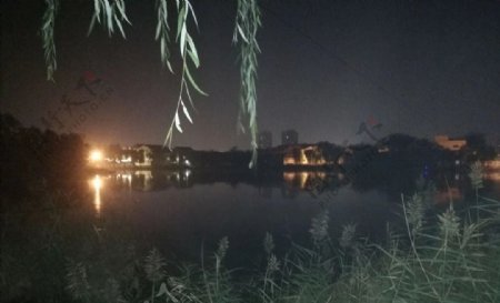 夜间湖面图片