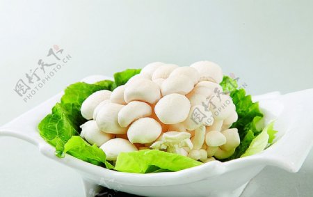 徽菜白玉菇图片
