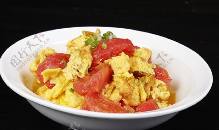 沪菜西红柿炒鸡蛋图片