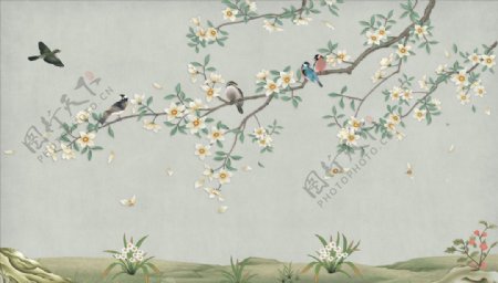 花鸟画兰花背景墙图片
