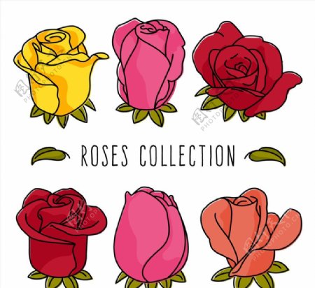 彩色玫瑰花设计图片