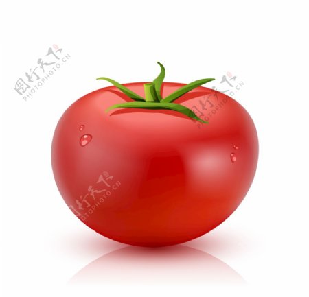 番茄蔬菜水果图片