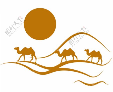 沙漠里的骆驼插画图片
