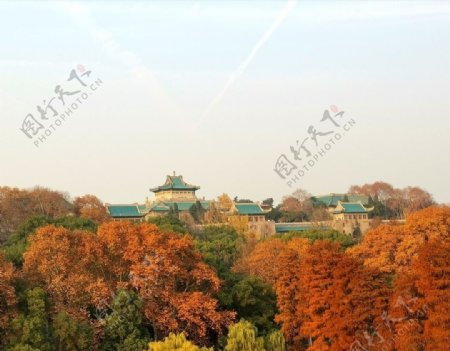 武汉大学樱顶老图书馆秋景图片