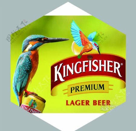 印度翠鸟啤酒图片