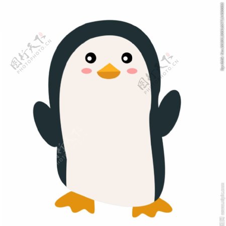 企鹅插画素材图片