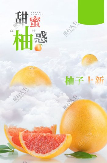 沙田柚红柚图片