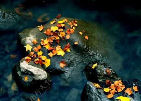 河流岩石落叶风景油画图片