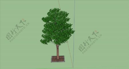 樹SU模型圖片
