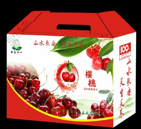 樱桃包装礼盒设计