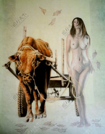 女人牛车图片