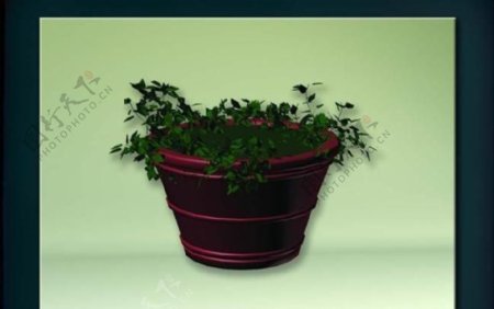 装饰构件之植物3D模型植物001