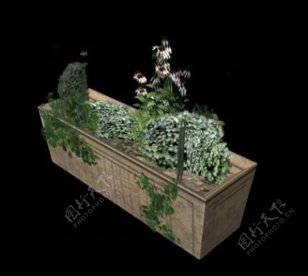 3d植物模型模板下载