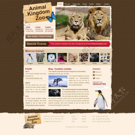 动物主题网站
