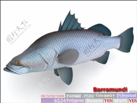 动物鱼类3d模型动植物模型免费下载动植物3d模型37