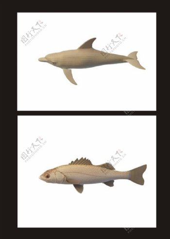 飞鱼海豚3d模型