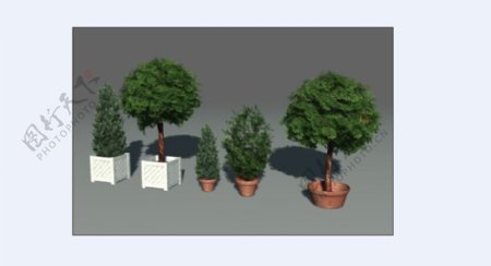 绿色植物造型模型