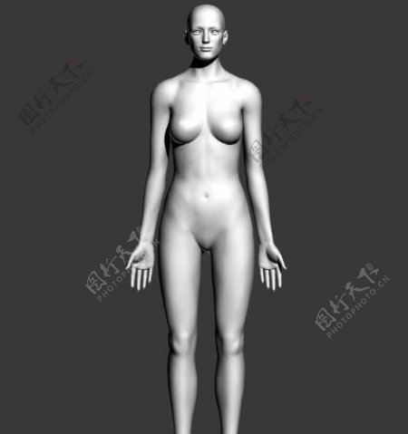 Femalebody女人体基本模型