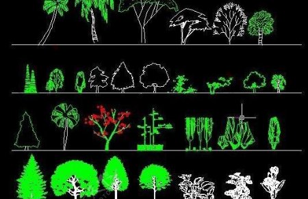 园林植物立面图例