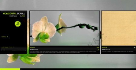 清新鲜花网页动画模板