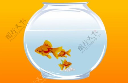 鱼缸里的金鱼flash
