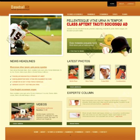 棒球运动训练网页模板