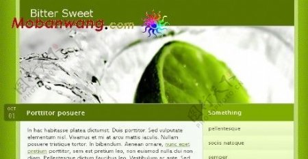 苦与乐绿色BLOG网页模板