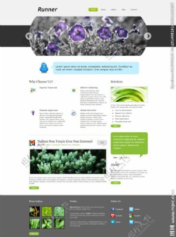花草种植类网站模板图片