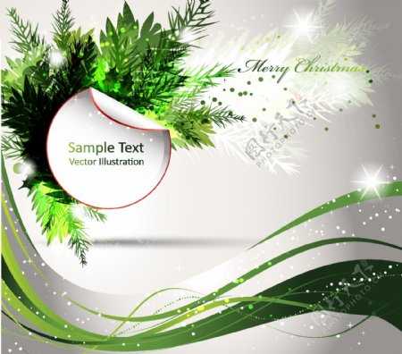 绿色松枝圣诞卡片封面