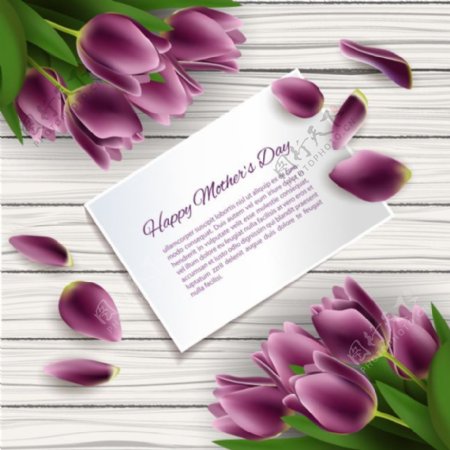 紫色郁金香母亲节卡片矢量素材