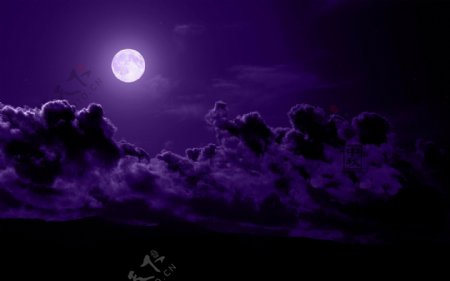 唯美紫色月光