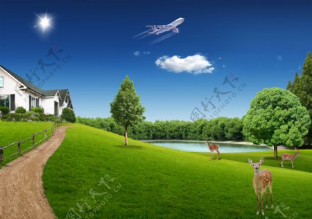 草地上的鹿和天空上的飞机