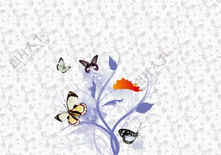 蝴蝶花纹图案墙纸