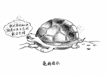乌龟安全漫画