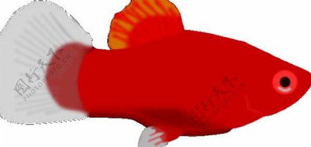 红色的鱼夹艺术