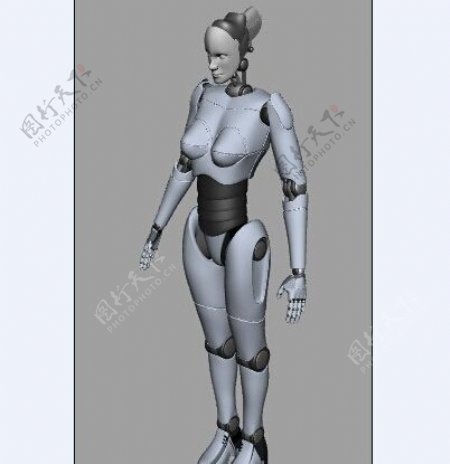 女机器人模型下载
