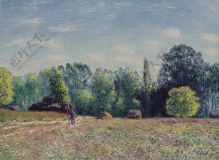 AlfredSisleyEdgeoftheForest1895法国画家阿尔弗莱德西斯莱alfredsisley印象派自然风景天空油画装饰画