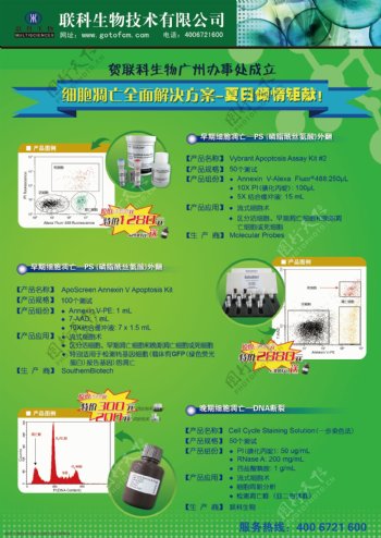 dm彩页产品促销企业宣传绿色图片