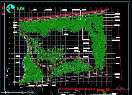城市广场乔木种植方案CAD施工图