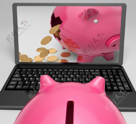 硬币的小猪笔记本电脑显示银行业金融成功