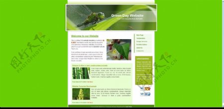 大自然绿色CSS网页