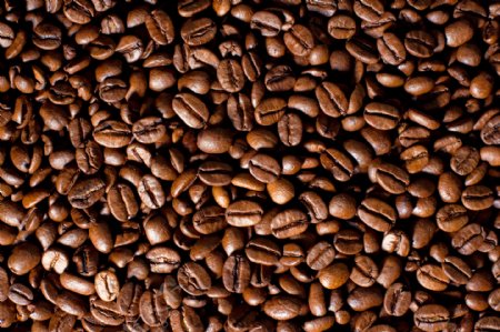 咖啡豆高清