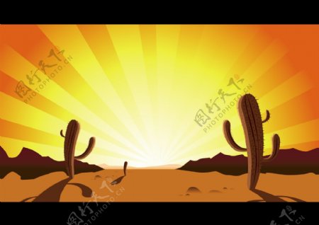 沙漠日落仙人掌矢量图