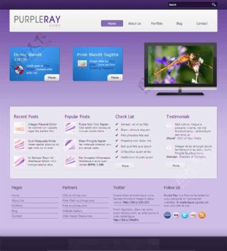 紫色幻彩CSS网页模板