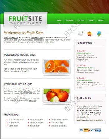 幻彩水果CSS网页模板