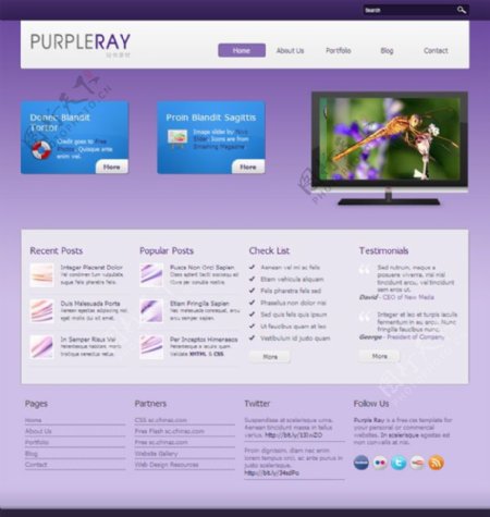 紫色幻彩CSS网页模板